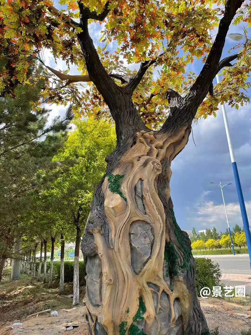 水泥仿真树实景拍摄案例展示第2张