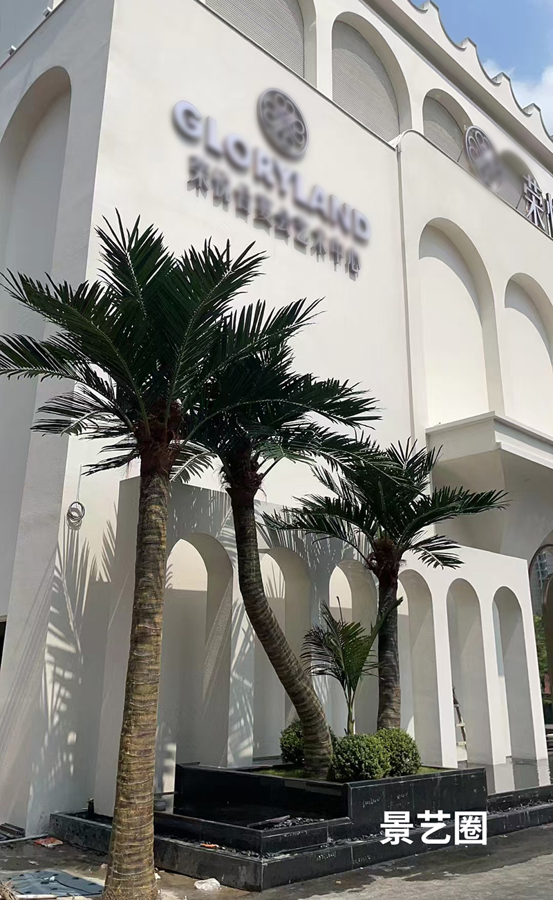 热带景观树大型玻璃钢仿真椰子树实拍案例第18张