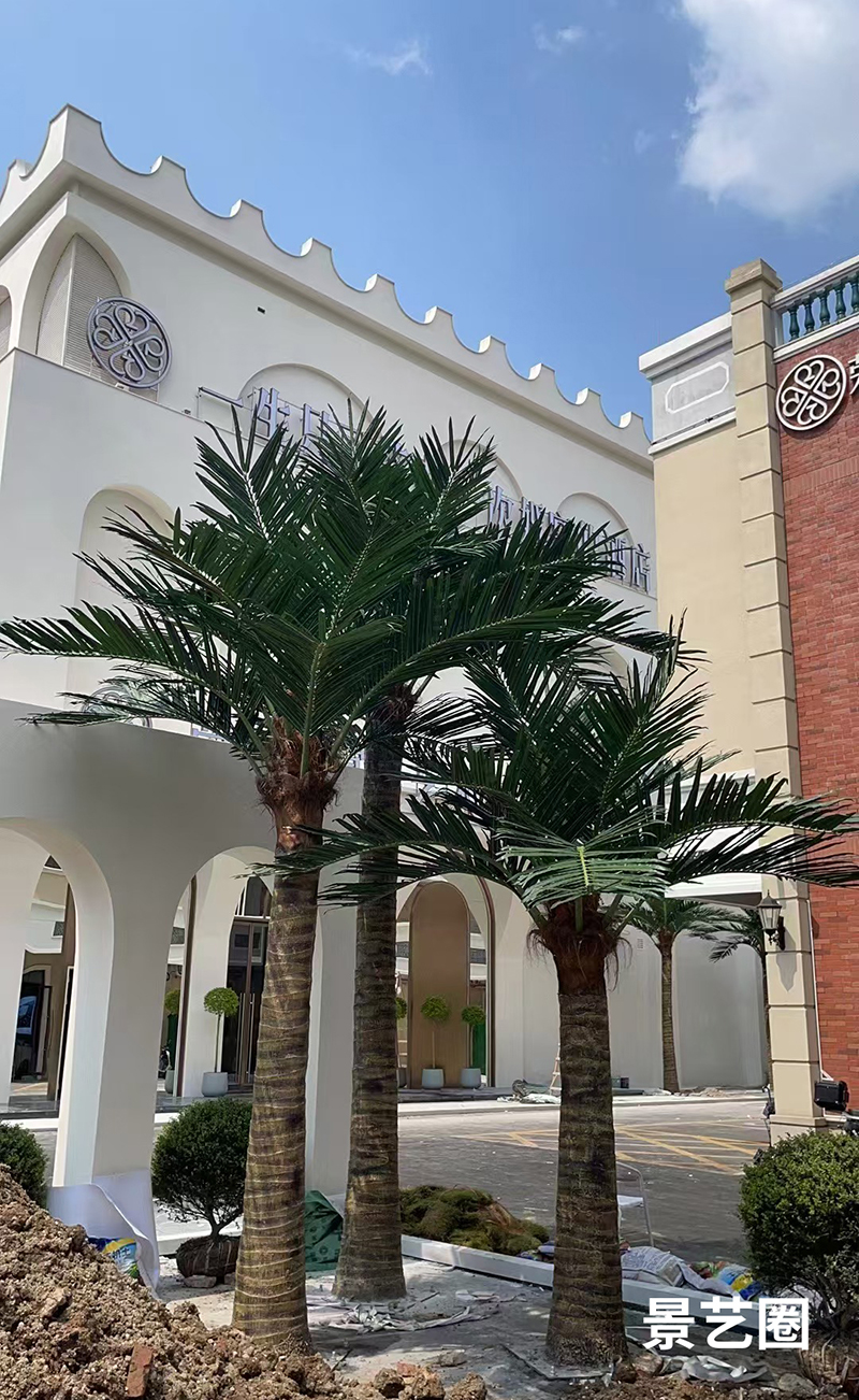 热带景观树大型玻璃钢仿真椰子树实拍案例第19张