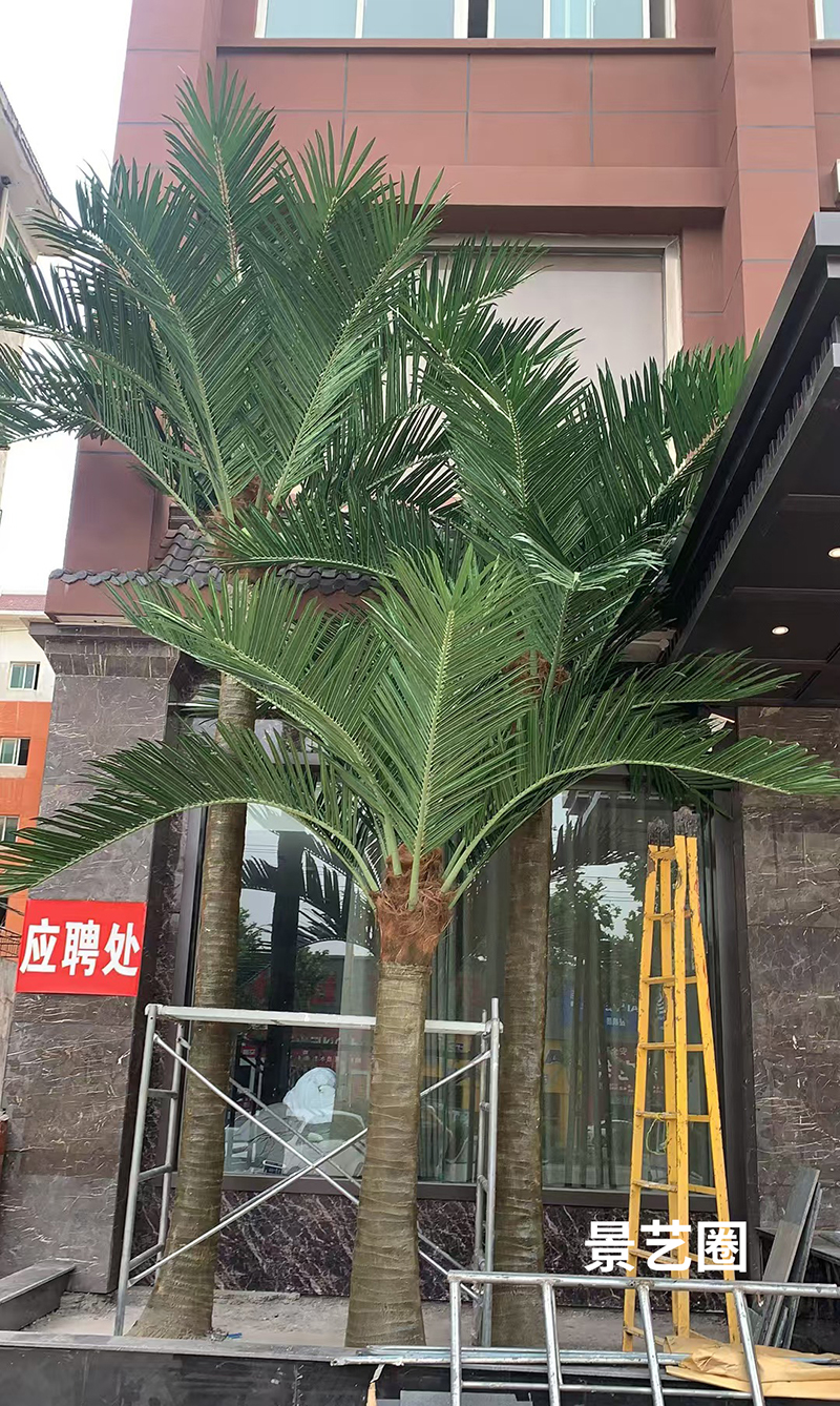 热带景观树大型玻璃钢仿真椰子树实拍案例第7张