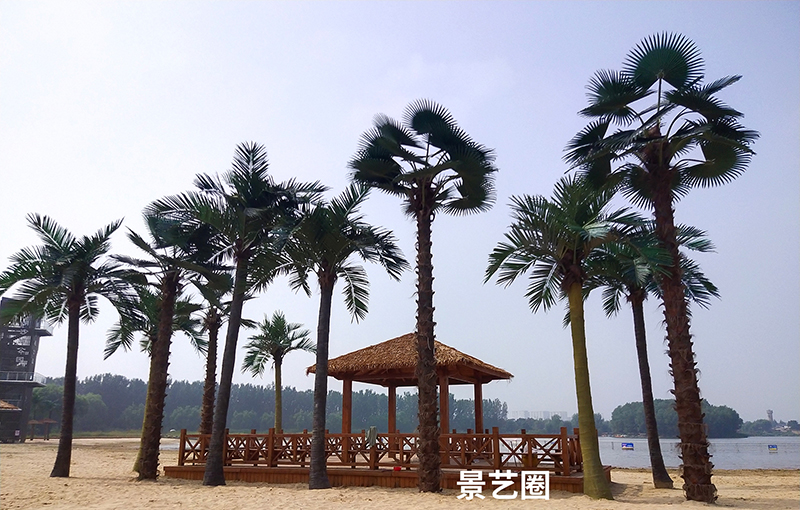 热带景观树大型玻璃钢仿真椰子树实拍案例第10张