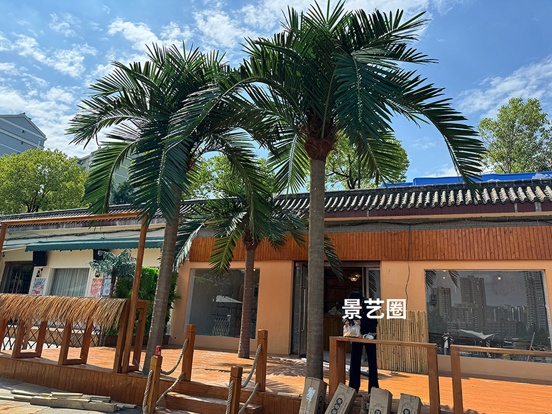 热带景观树大型玻璃钢仿真椰子树实拍案例第6张
