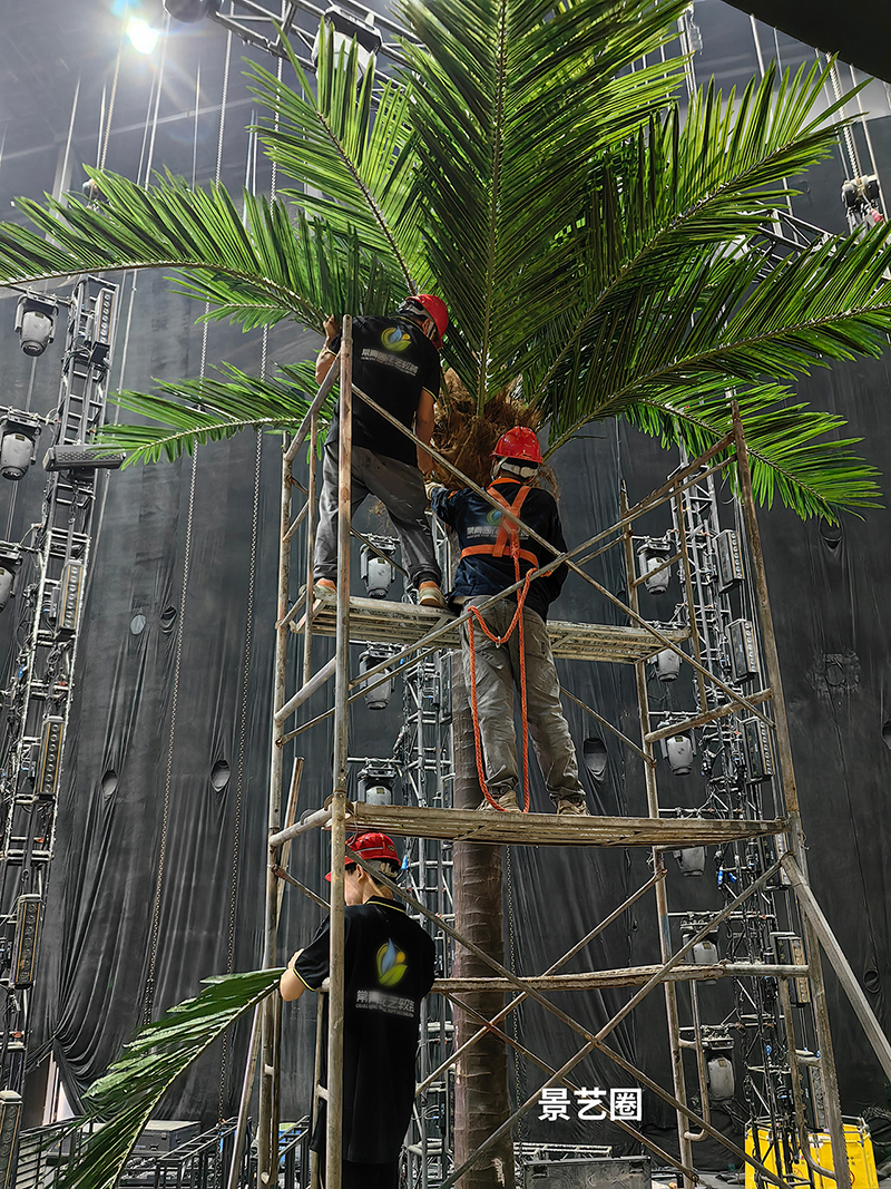 热带景观树大型玻璃钢仿真椰子树实拍案例第4张