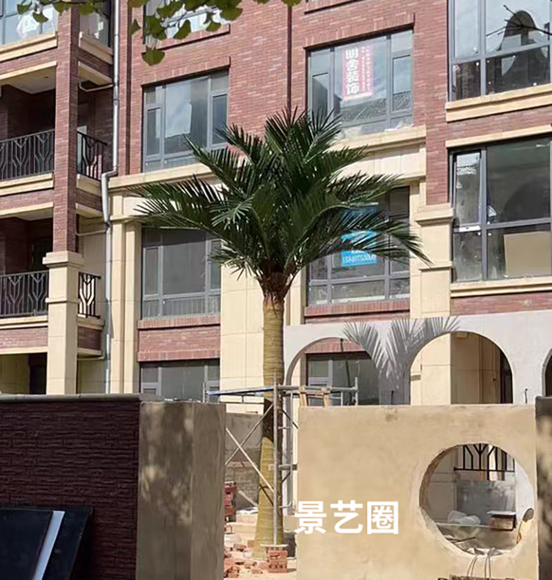 热带景观树大型玻璃钢仿真椰子树实拍案例第15张