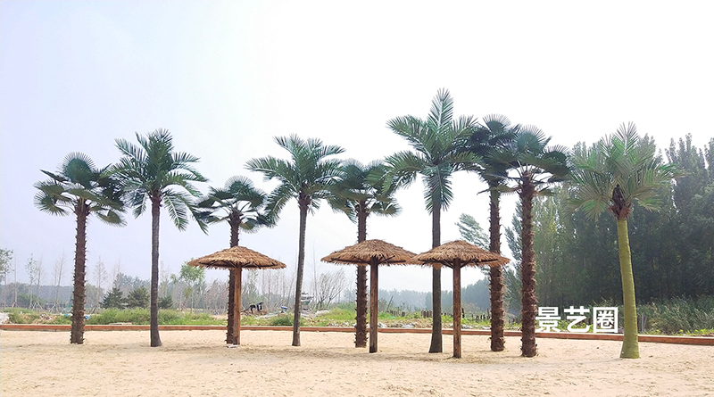 热带景观树大型玻璃钢仿真椰子树实拍案例第9张