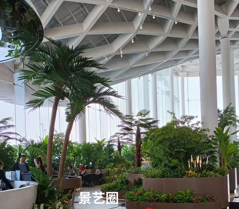 热带景观树大型玻璃钢仿真椰子树实拍案例第17张