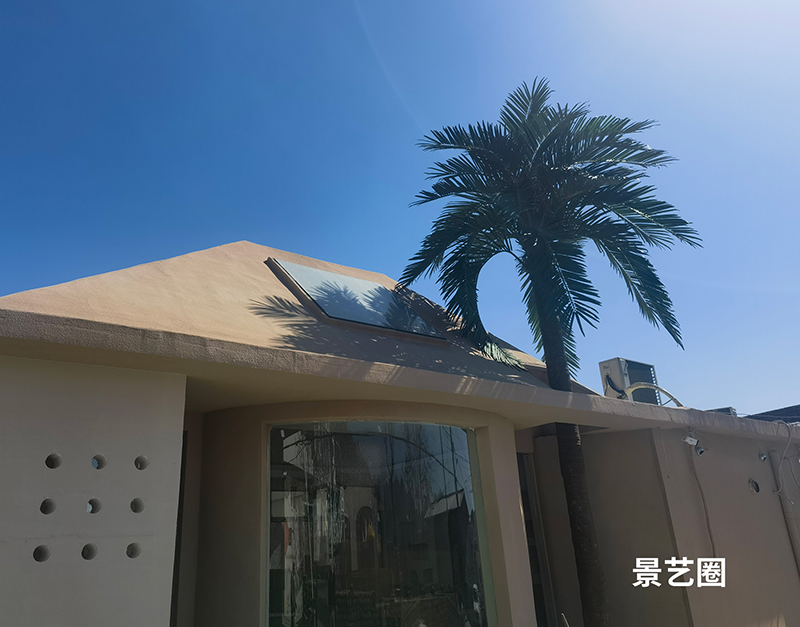 热带景观树大型玻璃钢仿真椰子树实拍案例第1张