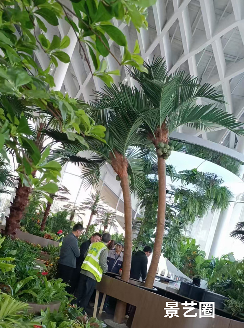 热带景观树大型玻璃钢仿真椰子树实拍案例第16张