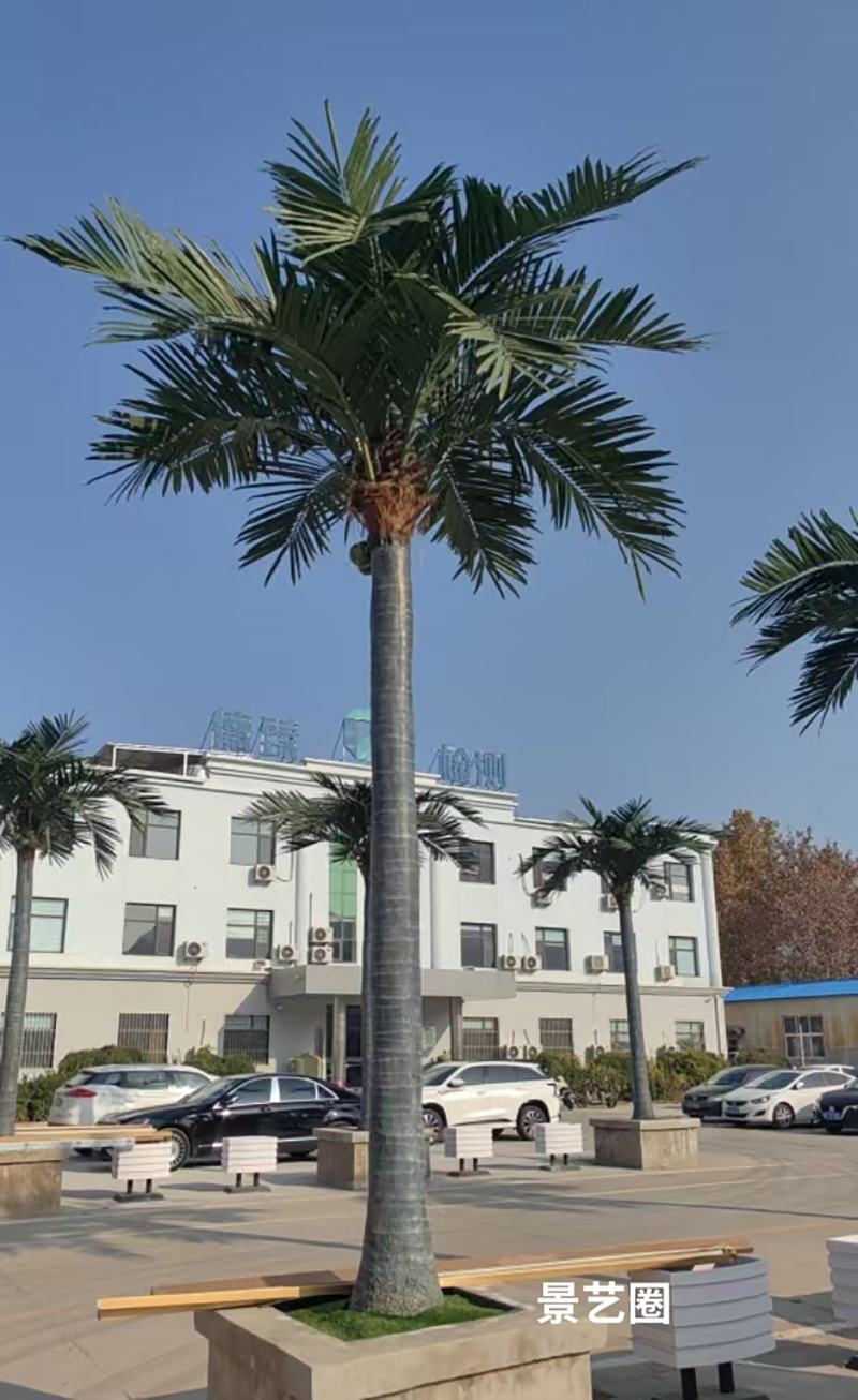 热带景观树大型玻璃钢仿真椰子树实拍案例第21张
