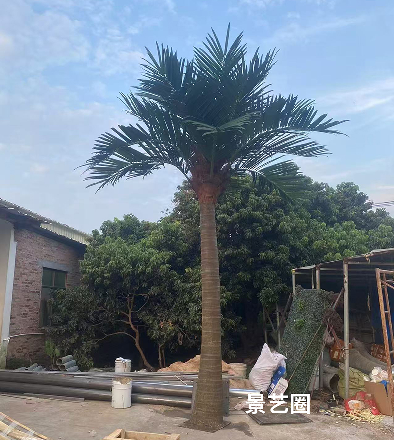 热带景观树大型玻璃钢仿真椰子树实拍案例第11张
