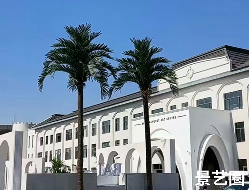 热带景观树大型玻璃钢仿真椰子树实拍案例第22张
