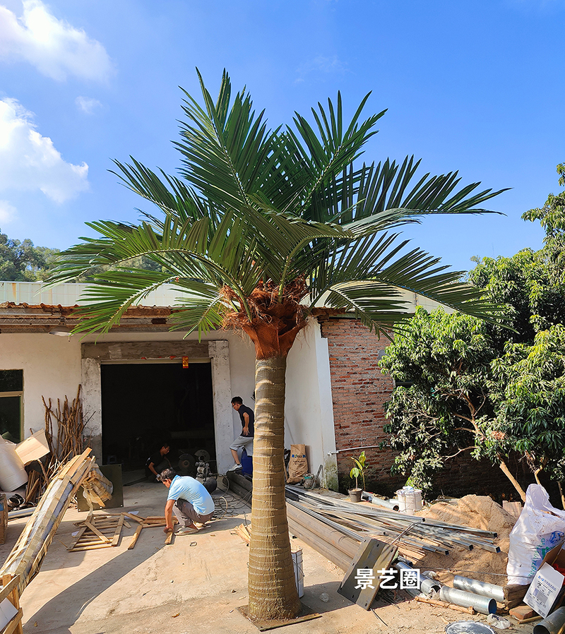 热带景观树大型玻璃钢仿真椰子树实拍案例第14张