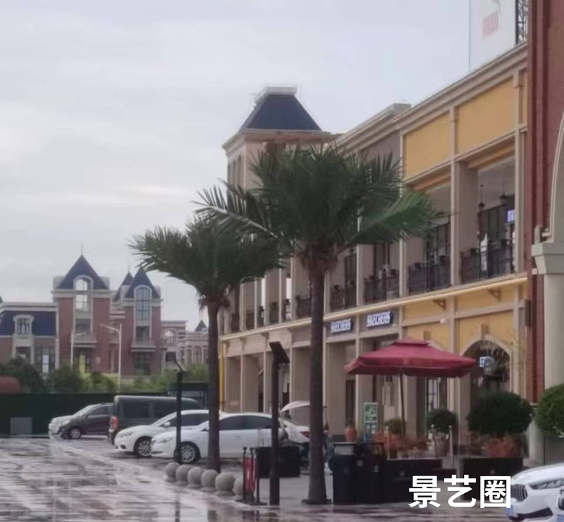 热带景观树大型玻璃钢仿真椰子树实拍案例第24张