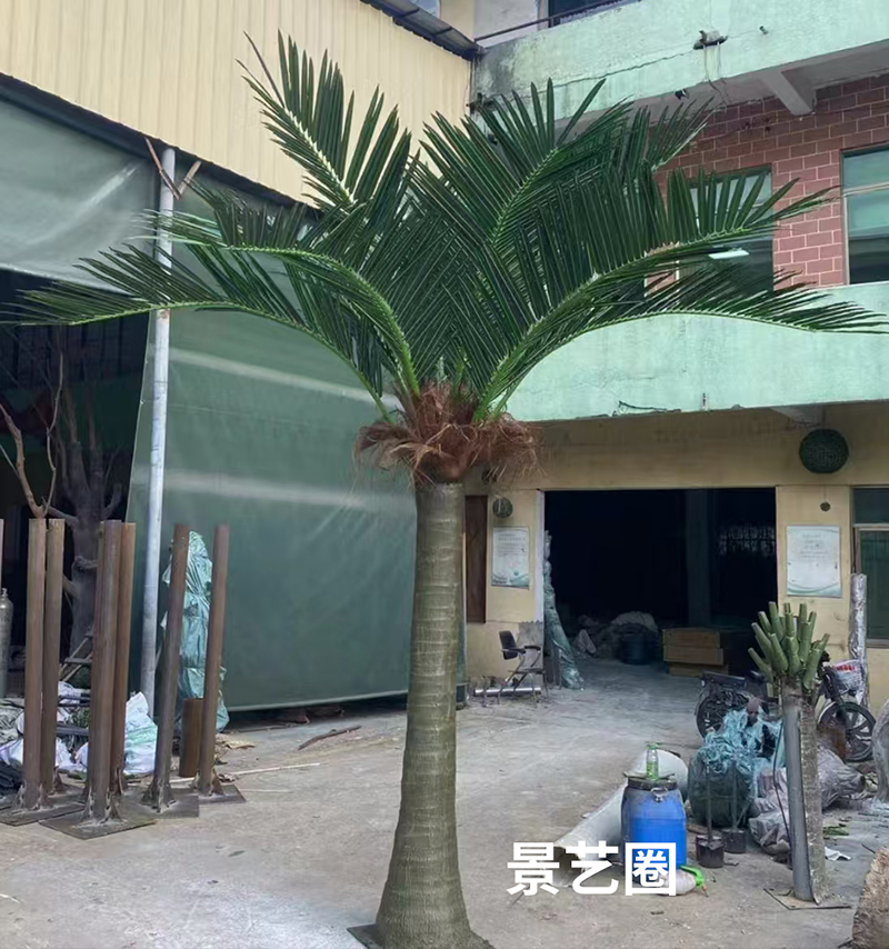 热带景观树大型玻璃钢仿真椰子树实拍案例第12张