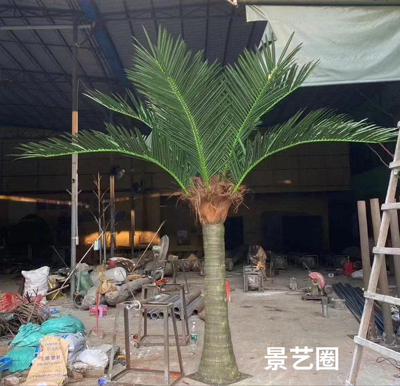 热带景观树大型玻璃钢仿真椰子树实拍案例第13张