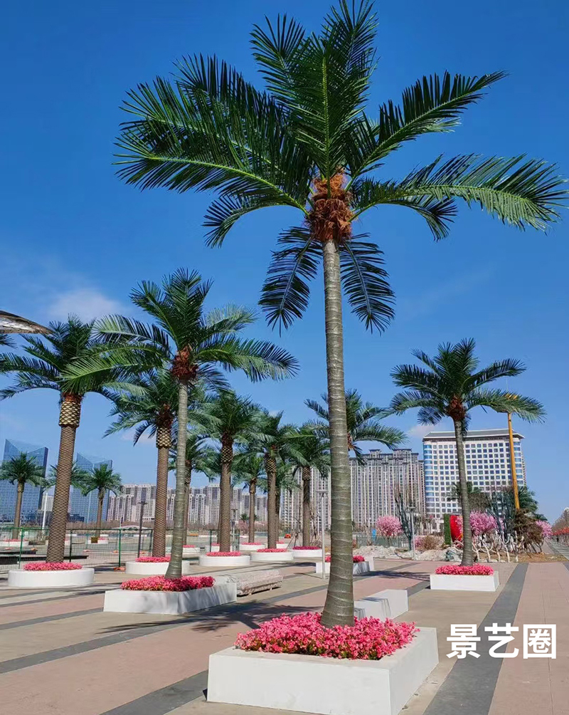 热带景观树大型玻璃钢仿真椰子树实拍案例第28张