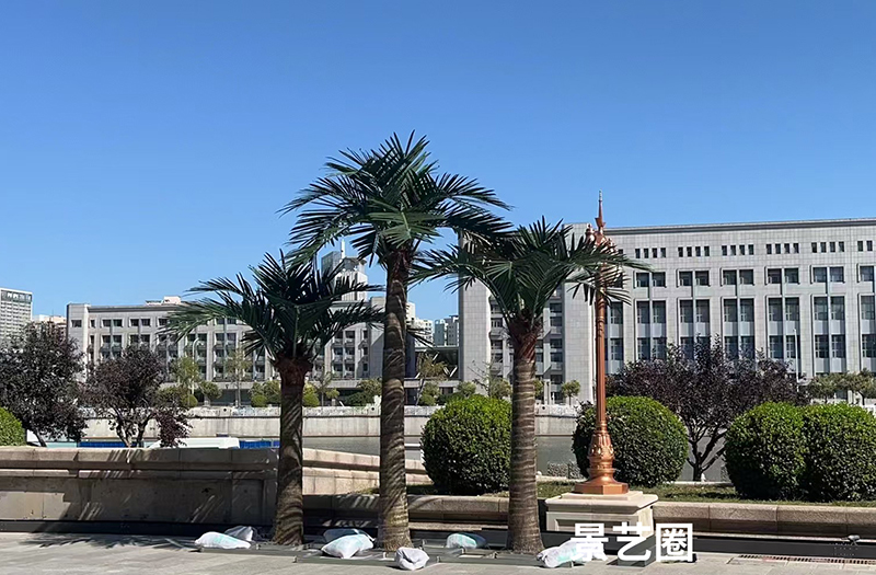 热带景观树大型玻璃钢仿真椰子树实拍案例第20张