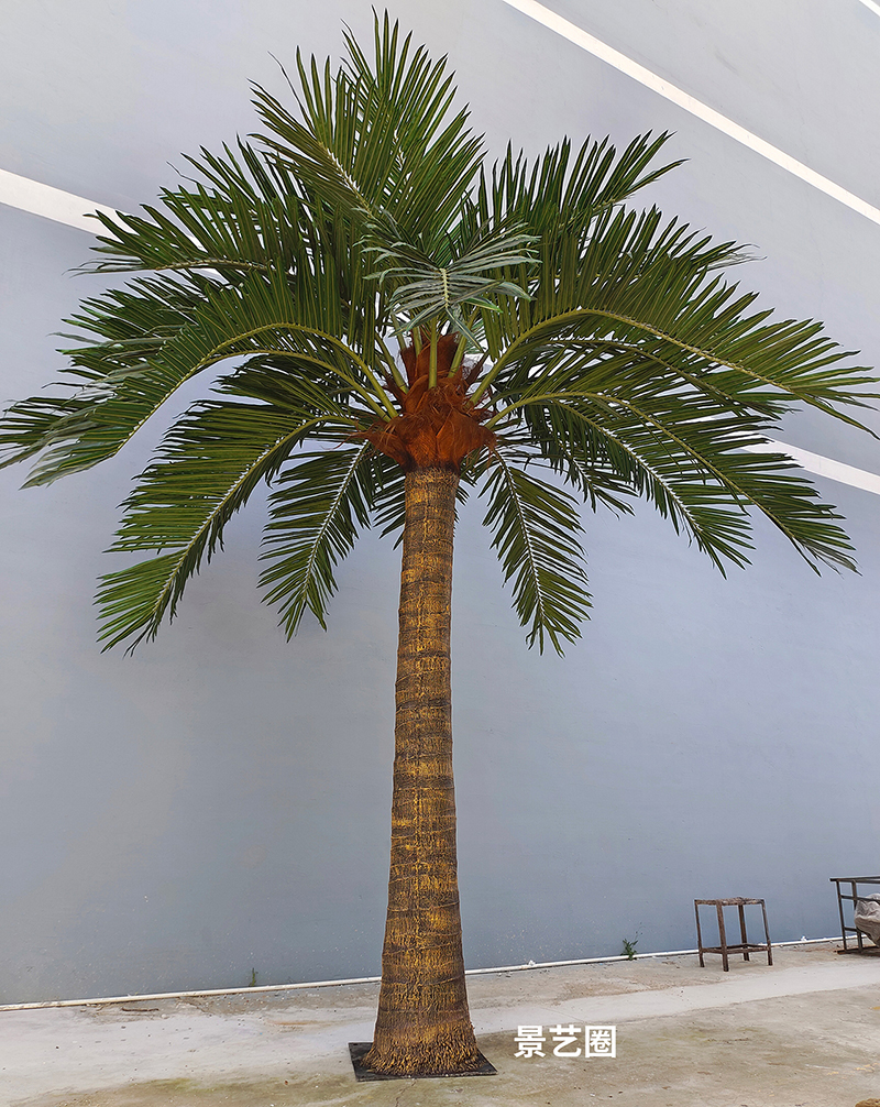 热带景观树大型玻璃钢仿真椰子树实拍案例第30张