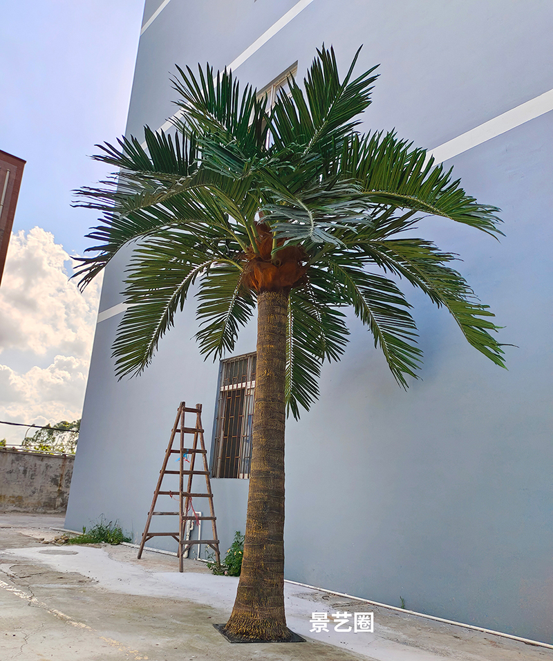 热带景观树大型玻璃钢仿真椰子树实拍案例第29张
