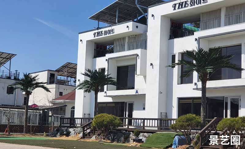 热带景观树大型玻璃钢仿真椰子树实拍案例第32张