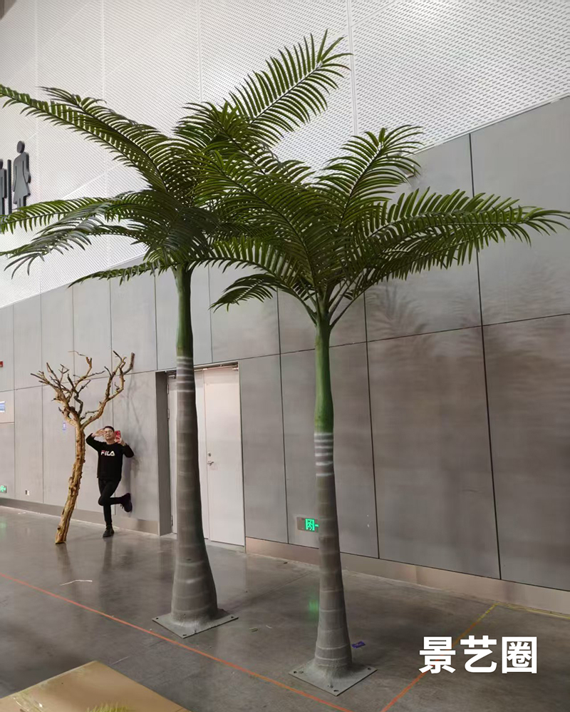 热带景观树仿真大王椰实拍案例展示第6张