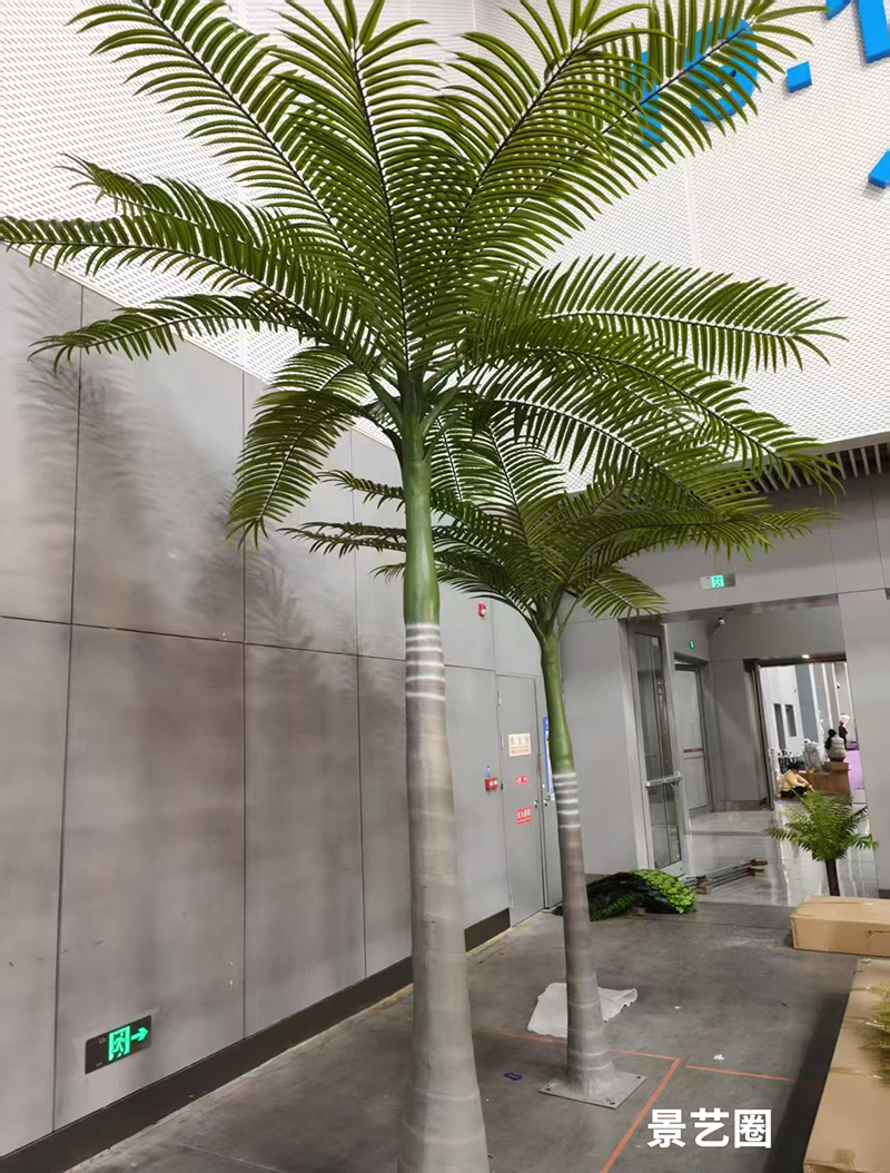 热带景观树仿真大王椰实拍案例展示第7张