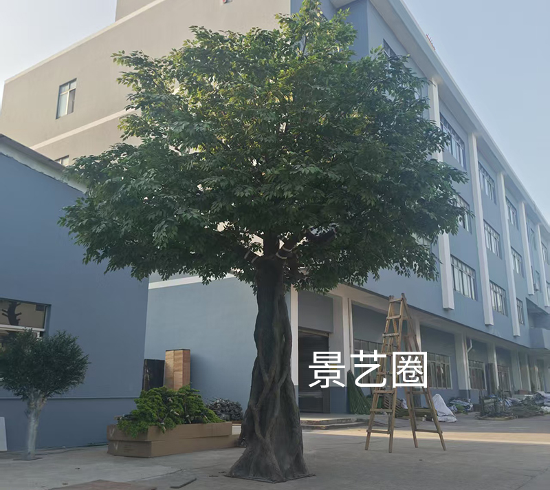 造型款仿真榕树工厂实拍案例第2张
